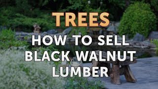 How to Sell Black Walnut Lumber