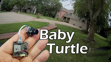 Caddx Baby Turtle // Nano HD-FPV Camera