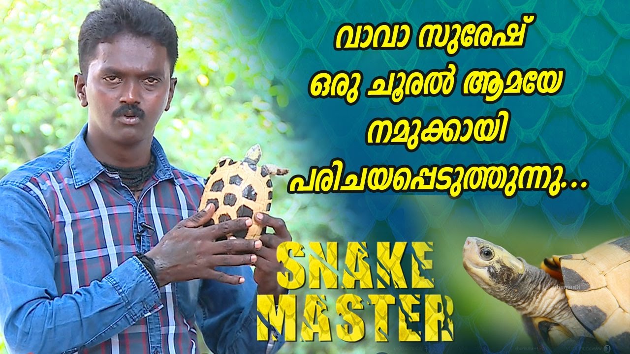 The Rarest Travancore Tortoise with Vava Suresh |  Snake Master | Kaumudy TV