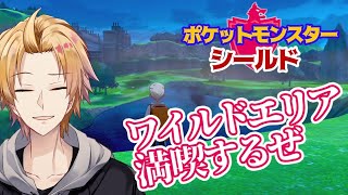 【ポケモンシールド】ワイルドエリアで豪雨発生中！【神田笑一/にじさんじ】