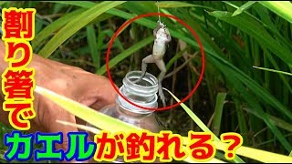 童心を思い出す！割り箸でカエルを釣りまくる！！