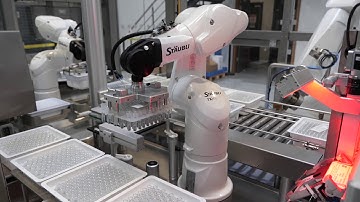 Inspection and packaging of 36,000 syringes per hour