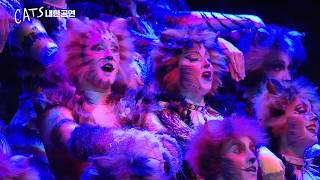 CATS - South Korea Tour - Production Trailer (2017)