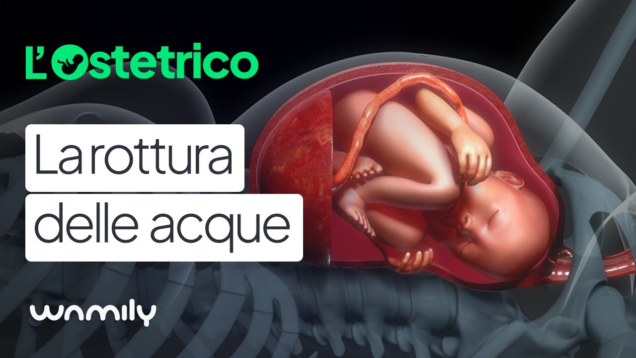 ROTTURA DELLE ACQUE: come accorgersene e cosa fare