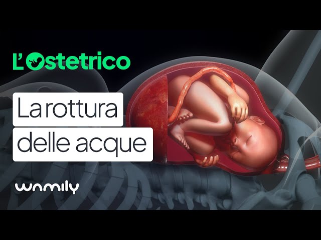 ROTTURA DELLE ACQUE: come accorgersene e cosa fare