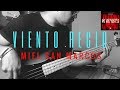 Viento Recio Miel San Marcos🎸 Cover bass Luis Ortiz (Usa🎧)