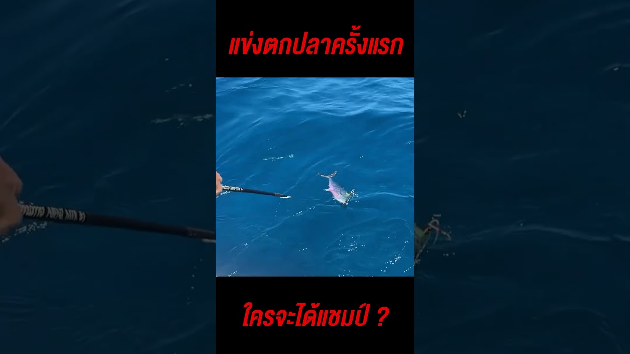 แข่งตกปลา น้องเนยท็อปฟอร์ม แล้วดีเจภูมิล่ะ ?  #ดีเจภูมิ #djpoom