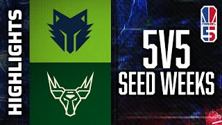 T-Wolves Gaming vs Bucks Gaming - Full 5v5 Highlights | 5v5 SEED WEEKS, SEASON 5