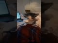 cats #edit #mambo #korean