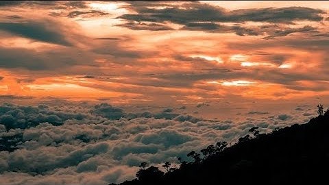 سورة ال عمران كاملة بصوت هادئ ومريح للنفس #سورة_آل_عمران #قران_كريم #قران_كريم_راحه_نفسيه #quran