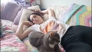 let's nap on the couch