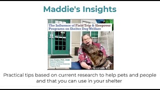 Maddie's Insights: The Influence of Field Trip & Sleepover Programs on Shelter Dog Welfare - webcast by Maddie's Fund Education 207 views 2 months ago 53 minutes