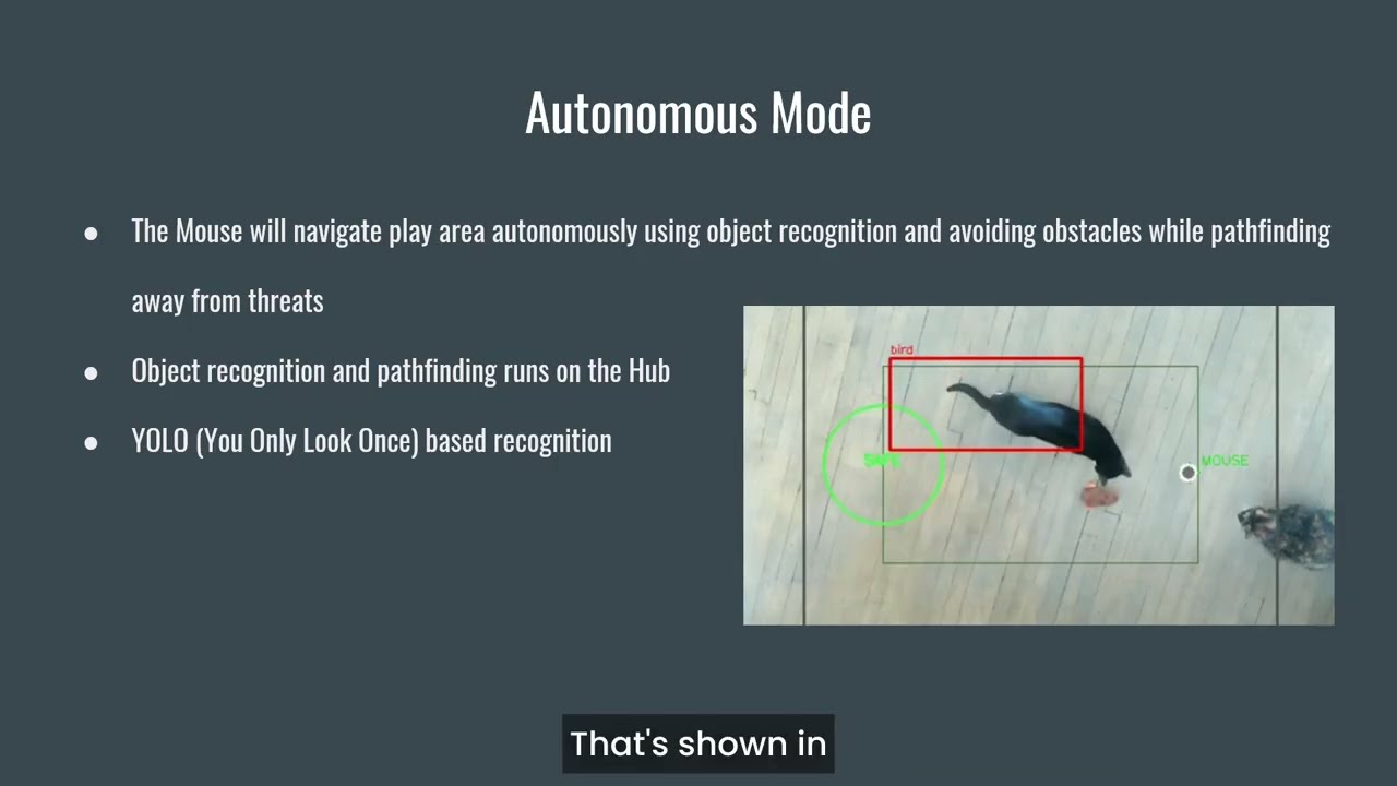 Preview image for 234: Remote Control/Remote Monitor Cat Toy video