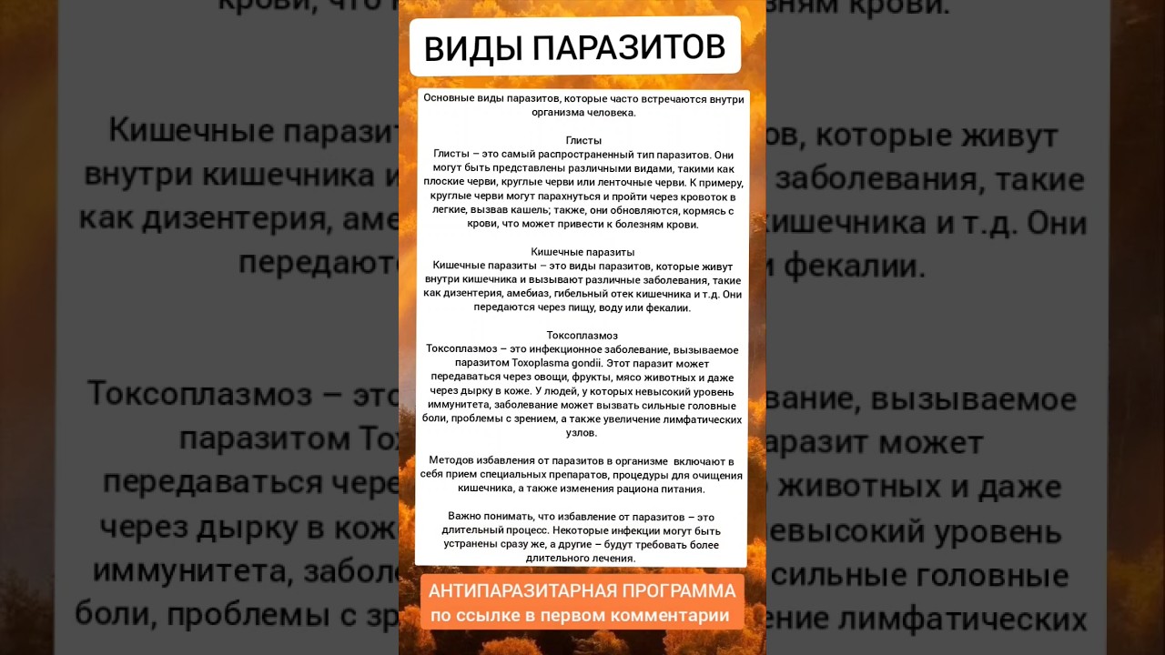 ОСНОВНЫЕ ВИДЫ ПАРАЗИТОВ ВНУТРИ ОРГАНИЗМА