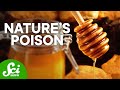 Top 5 Deadliest Substances on Earth