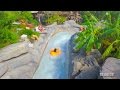 [4K] Turbulent Water Slide - Mayday Falls - Disney's Water Park  - Typhoon Lagoon