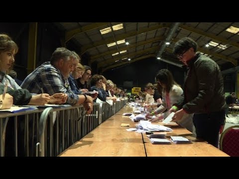 Irish abortion referendum: Counting starts as exit polls show landslide in favor