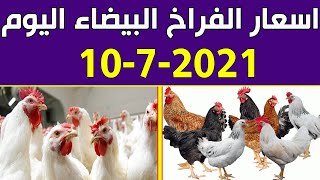 اسعار الفراخ البيضاء اليوم السبت 10-7-2021 في بورصة الدواجن في مصر
