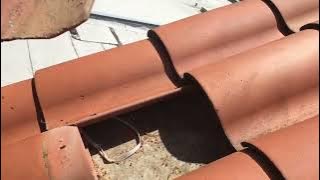 How to replace a Spanish roof tile the easy way