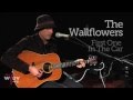 The Wallflowers - First One in the Car (Live at WFUV)
