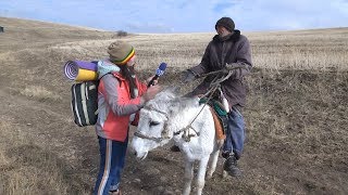 Made in Shymkent - 26 вып. Клуб любителей активного досуга Made in Shymkent - 26 вып. Клуб любителей активного досуга