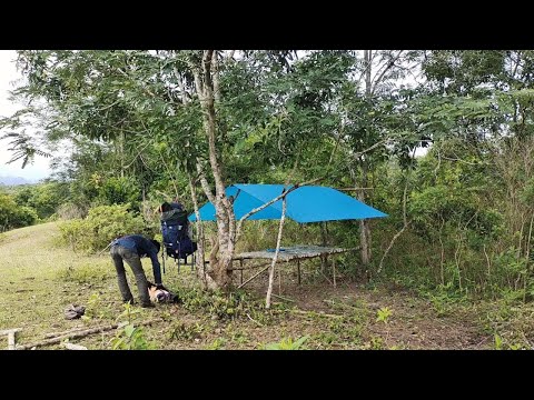 Video: Apakah padang rumput sederhana?