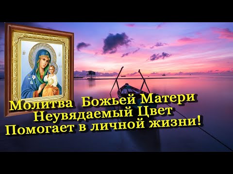 Молитва о замужестве иконе Неувядаемый Цвет Божьей Матери