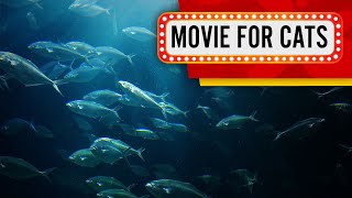 Movie for Cats - Deep sea Fishing (Videos for Cats to watch) 3 Hours 4K