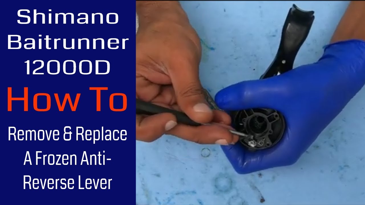 Shimano Baitrunner 12000D: How To Remove & Replace How A Frozen  Anti-Reverse Lever: Reel Repair 
