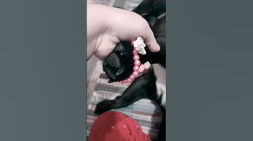 Thumbnail of выходи за меня замуж #music