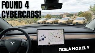UNBELIEVABLE: Tesla FSD Discovers 4 RARE Cybercabs in Utah!