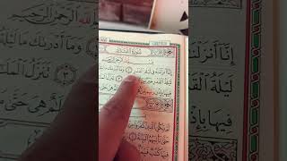 May 2, 2026 #المصحف #beautiful #love #القرآن_الكريم #التلاوة #quran #تلاوت_قرآن_پاک #amazing #allah