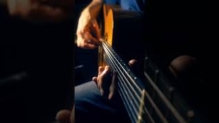 La Rumba D’El Jefe (part 2) #jessecook #acousticguitar #shorts #flamencorumba