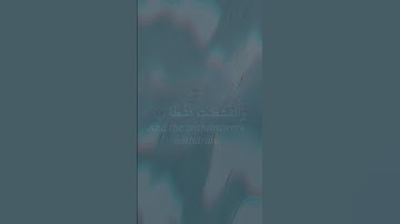 Sura Naziaat __ سورة النازعات __ Mahmud Huzaifa