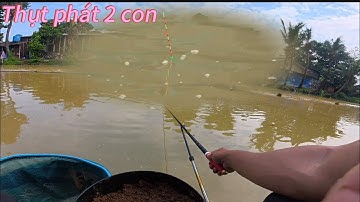 ✅ 180 phút câu cá chép bằng gói mồi TORO 200g ( tập 2 ) | DUY FISHING SAI GON