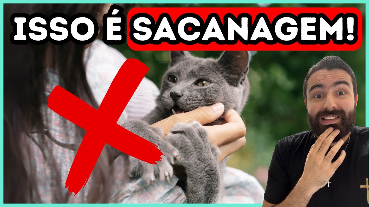 Se Você Faz ISSO Com Seu Gato, Você Deveria Ser PROIBIDO De Ter Gatos!