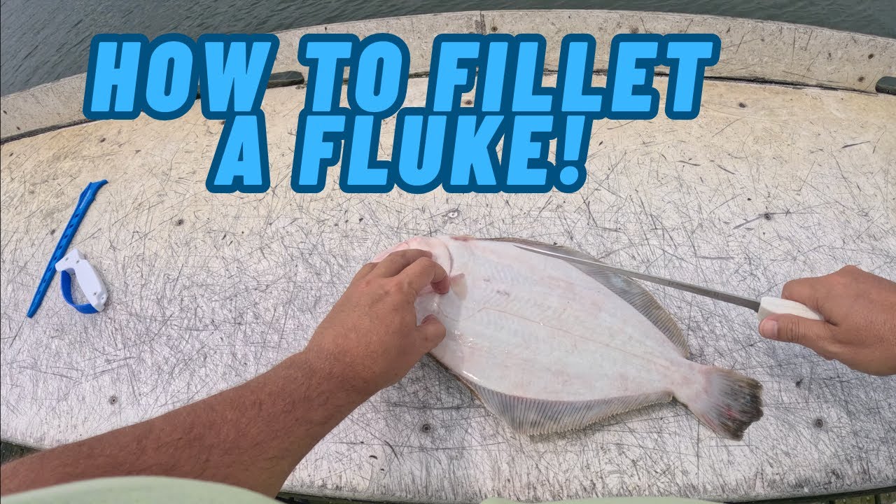 How to Fillet a Fluke | Easy Fluke Cleaning & Filleting Tutorial for ...