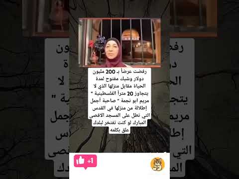 ست بي 1000 رجال مريم ابو نجمة