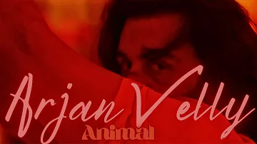 Arjan Velly - Animal - Ranbir Kapoor - Full Song #arjanvelly #animal #ranbirkapoor