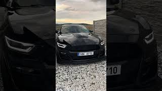 Mustang 5.0 gt