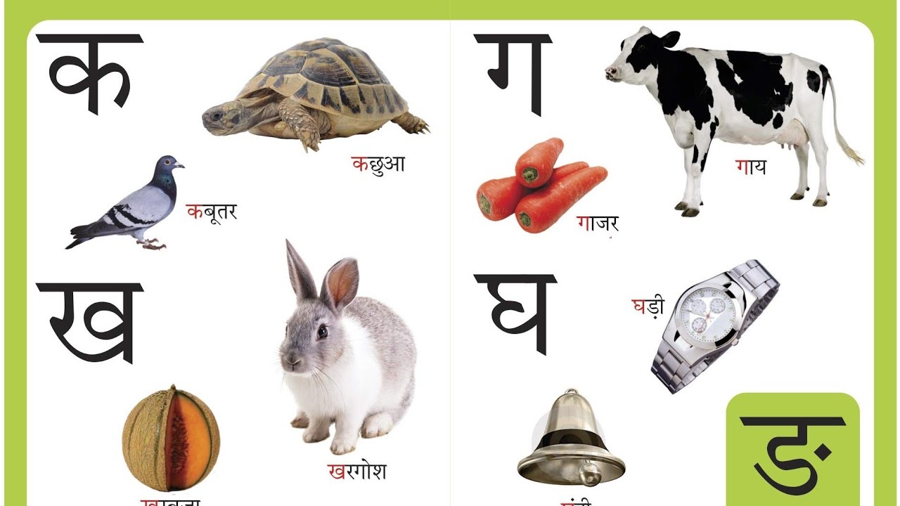 क ख ग घ|क से कबुतर ख से खरगोश|व्यंजन वर्ण|ka kha ga gha|ka se kabutar ...