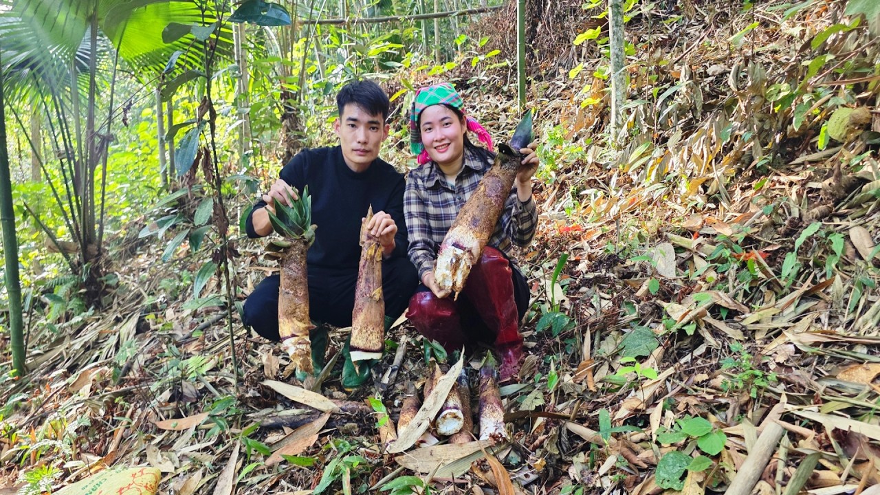 Let's join us in digging up the first bamboo shoots of the season and making a delicious dish!
