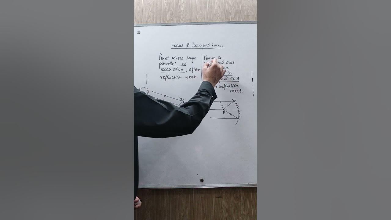 difference-between-focus-and-principal-focus-shorts