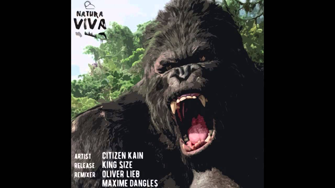 Download Citizen Kain - King Size (Oliver Lieb Remix) [Natura Viva]