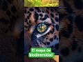 GBIF El mapa de biodiversidad #mapas #biodiversidad #tecnologia #saveworld
