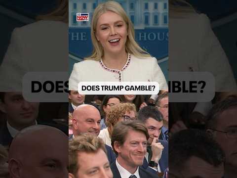 Karoline Leavitt Asked If Trump Gambles Amid FBI Gambling Investigation Into Mafia NBA Players