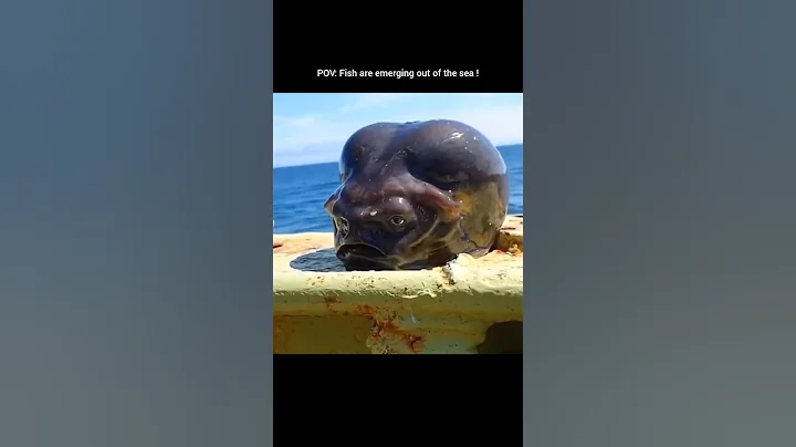 Leviathan is Comming ☠️☠️ #shorts #nature #earth #sea #ocean #unknownscience #leviathan