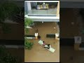 Khammam Floods Floods Khammam Telangana Rains 