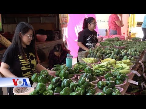 Video: Chợ Nông sản ở Minneapolis và St. Paul