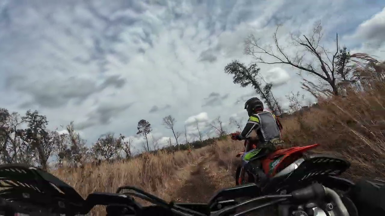 2026 - FTR - HS#8 - Fox Squirrel - MA - 02